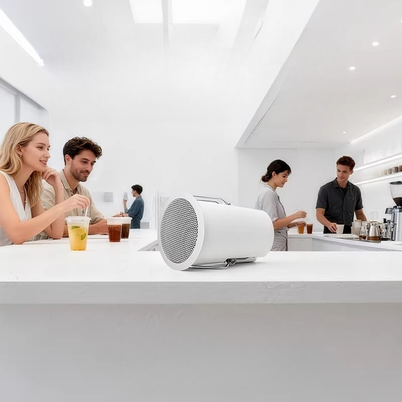 Audio Music Store - Système audio de plafond, enceintes intégrées,