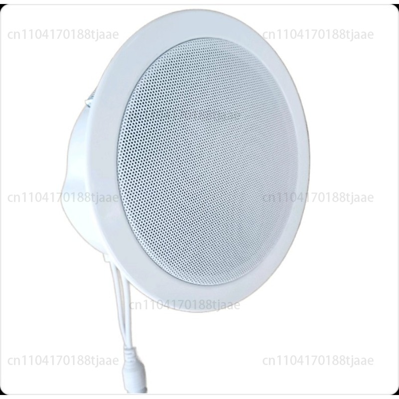 Audio Music Store - Haut-parleur réseau IP, audio de plafond,