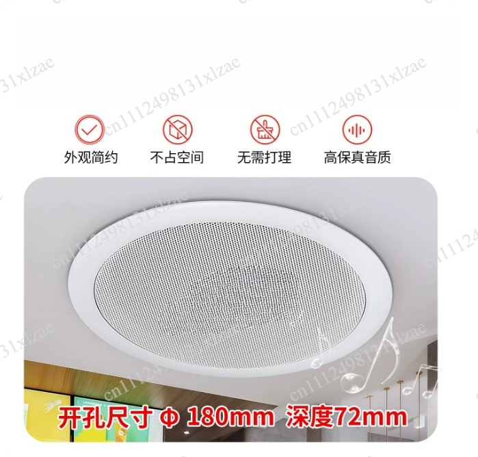 Audio Music Store - Haut-parleur de plafond TD202, système audio