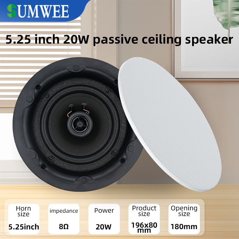 Audio Music For Background - Haut-parleur de plafond coaxial de 5.25