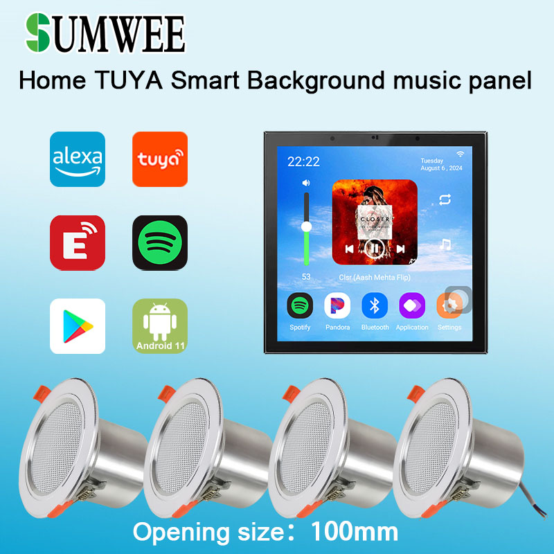 Amplificateur mural 4 pouces A - Audio Music For Background avis et prix