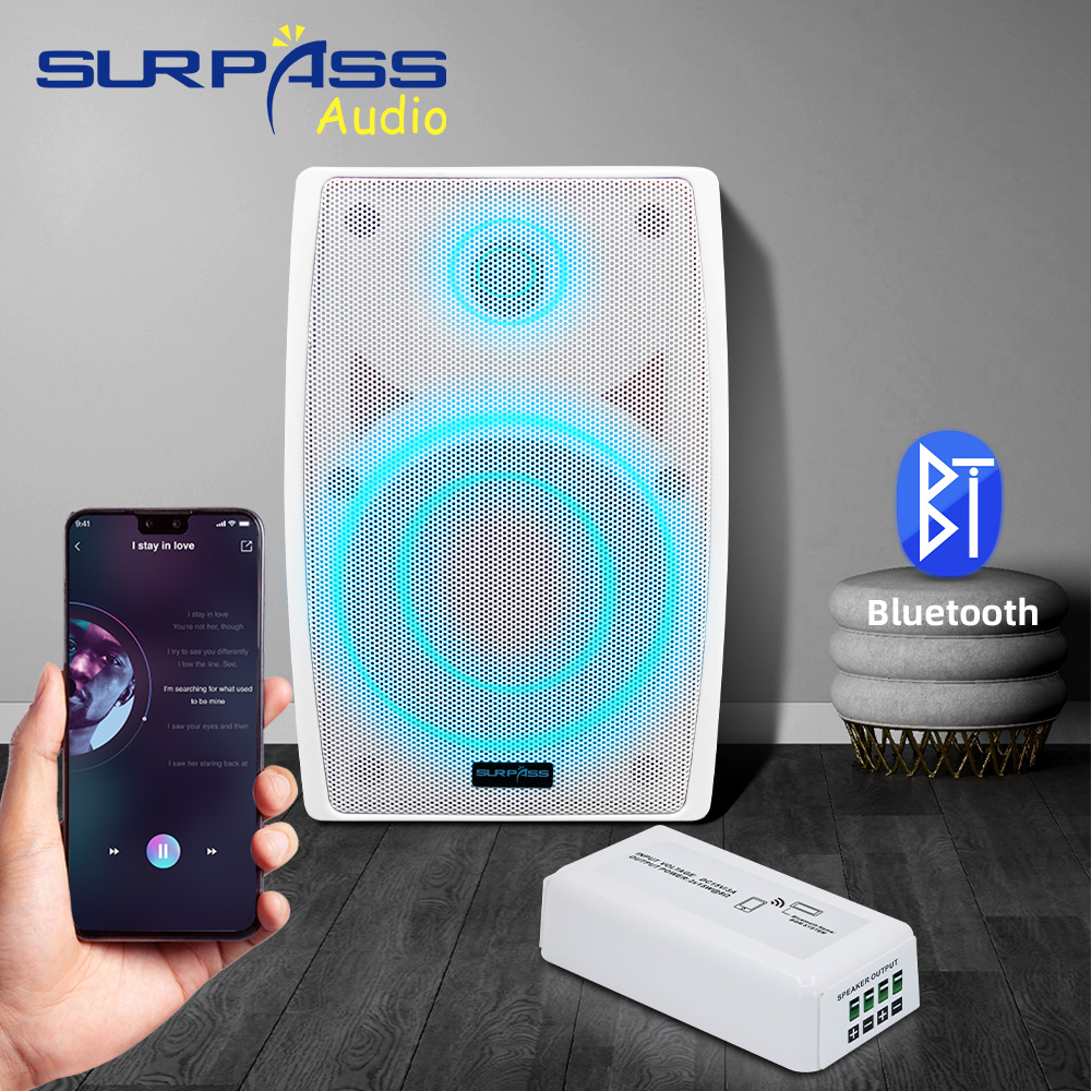 Mini amplificateur Audio Bluet - Audio Music Store avis et prix