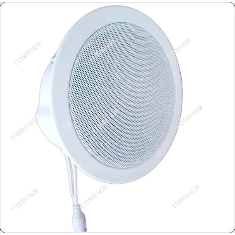 Haut-parleur réseau IP, audio  - Audio Music Store avis et prix
