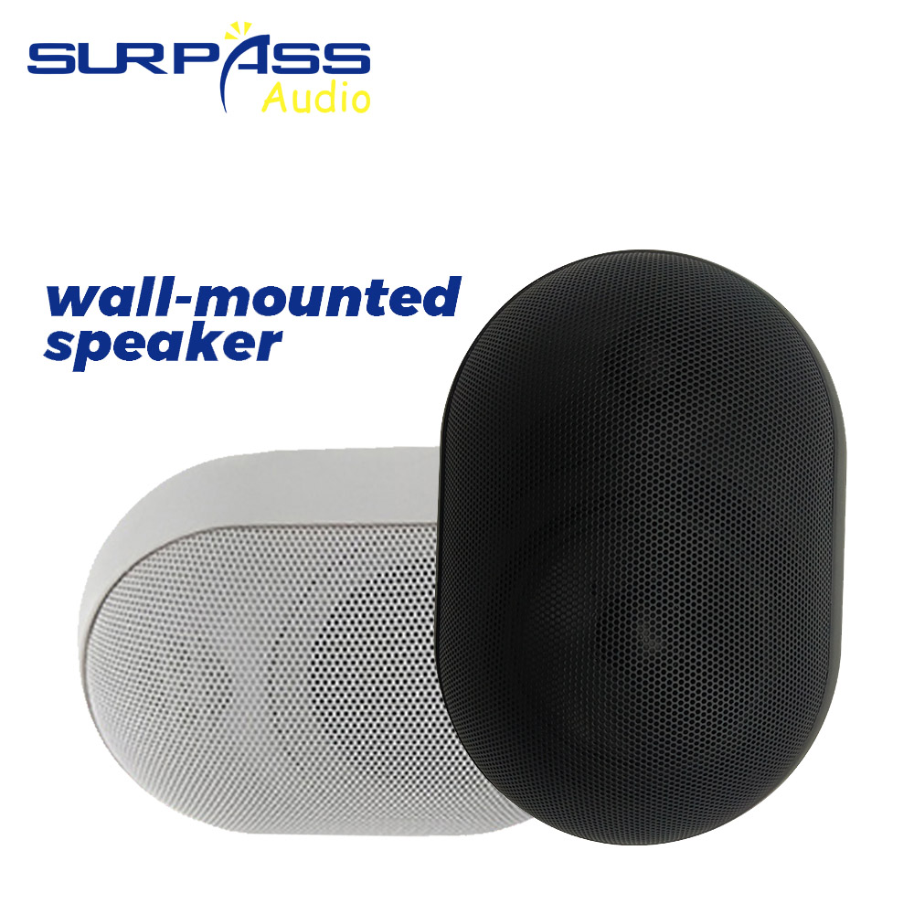 30W haut-parleur mural étanche - Audio Music For Background avis et prix